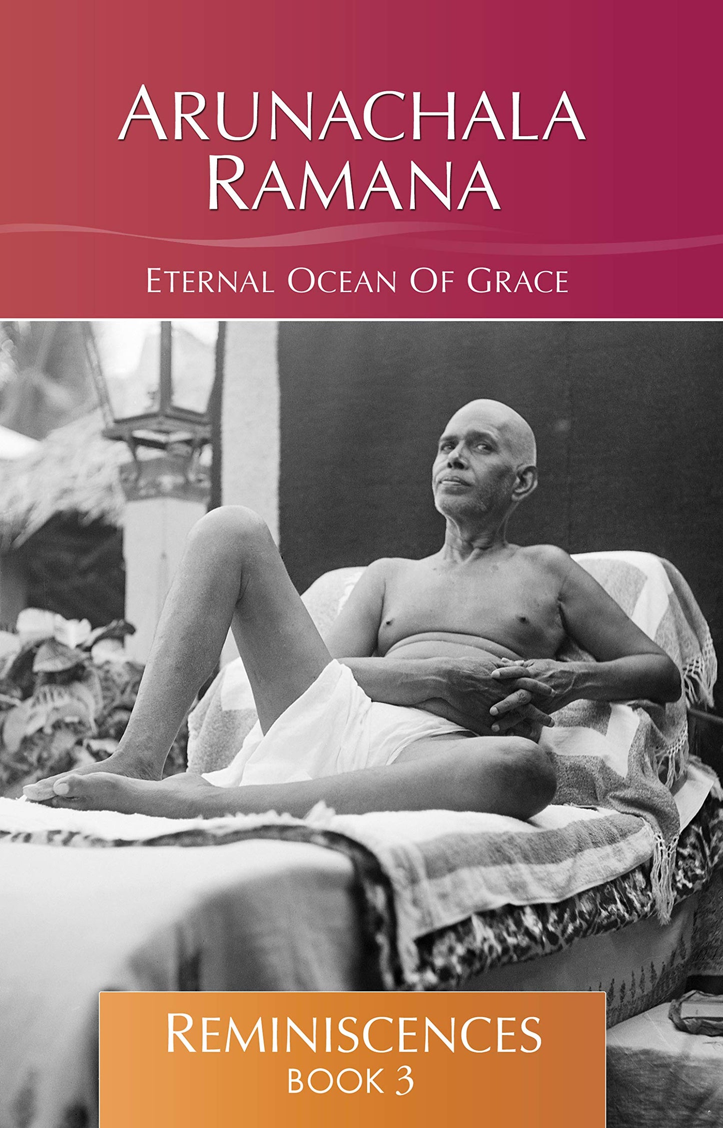 ARUNACHALA RAMANA: ETERNAL OCEAN OF GRACE (SETS OF 7 BOOKS) book cover