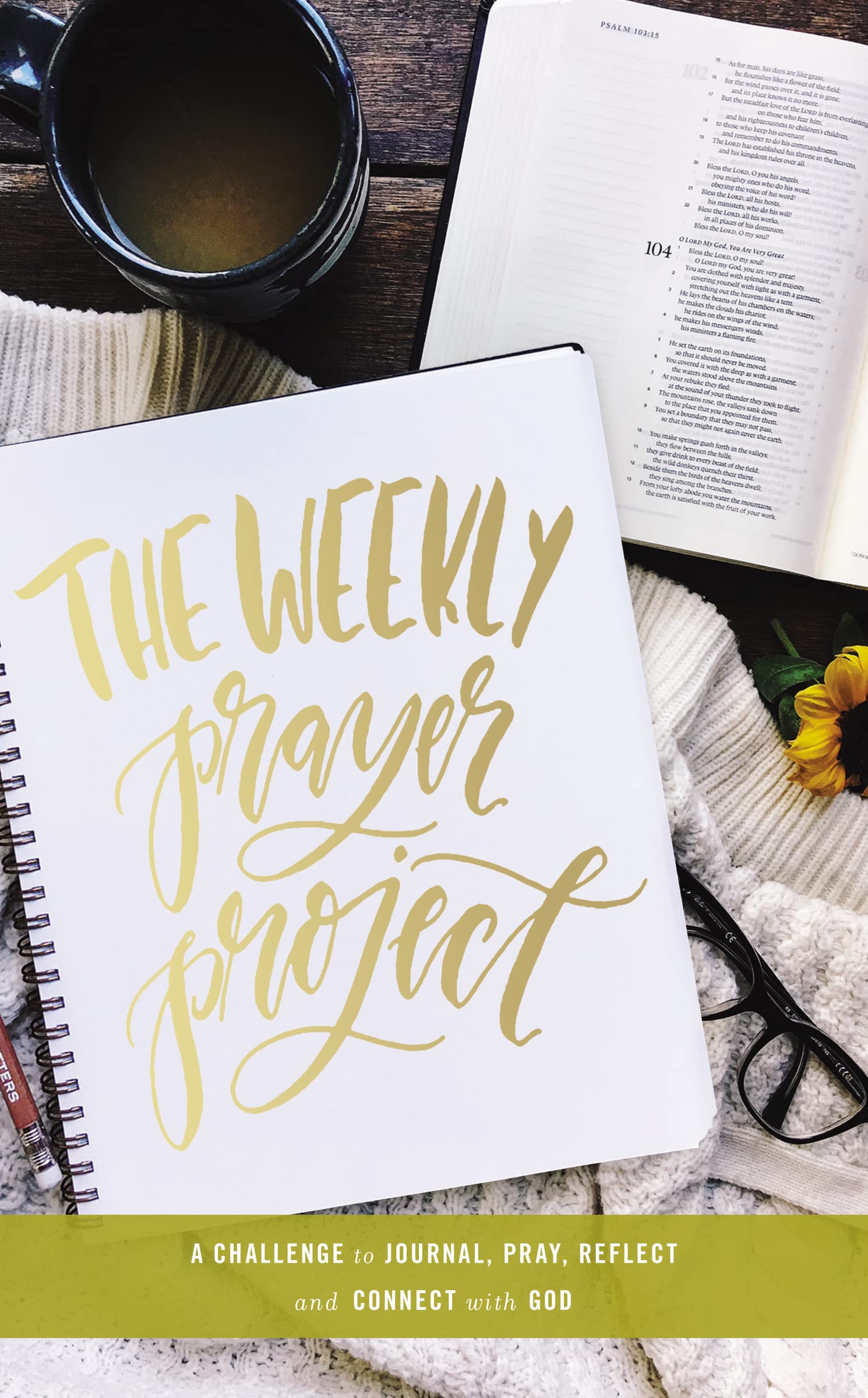 The Weekly Prayer Project: A Challenge to Journal  Pray  Reflect  and Connect with God (The Weekly Project Series) by Zondervan (Author) book cover