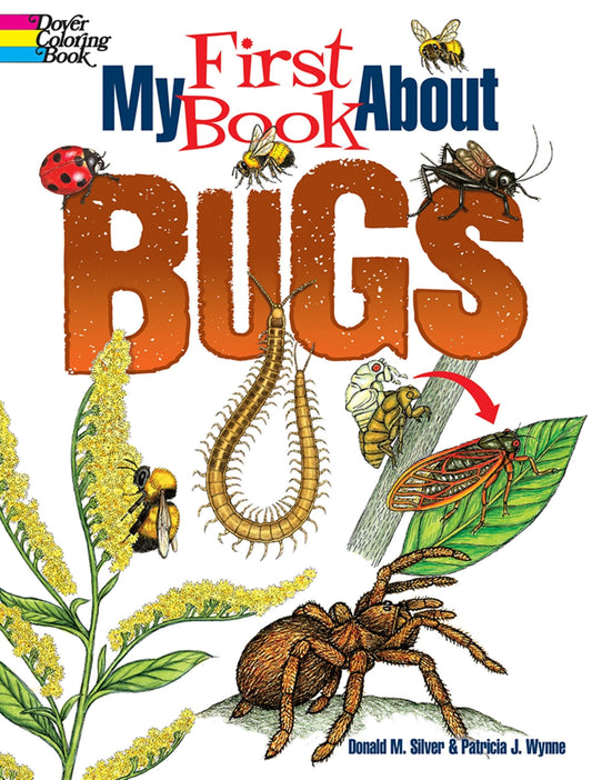 MY FIRST BOOK ABOUT BUGS book cover