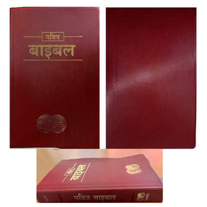 Hindi Holy Bible Easy-To-Read Version (ERV) | Revised Vinyl Bound Paperback | Old & New Testament Complete Bible | Simple Hindi Translation | Clear & ... for Prayer, Study & Gifting (2019 Revised)