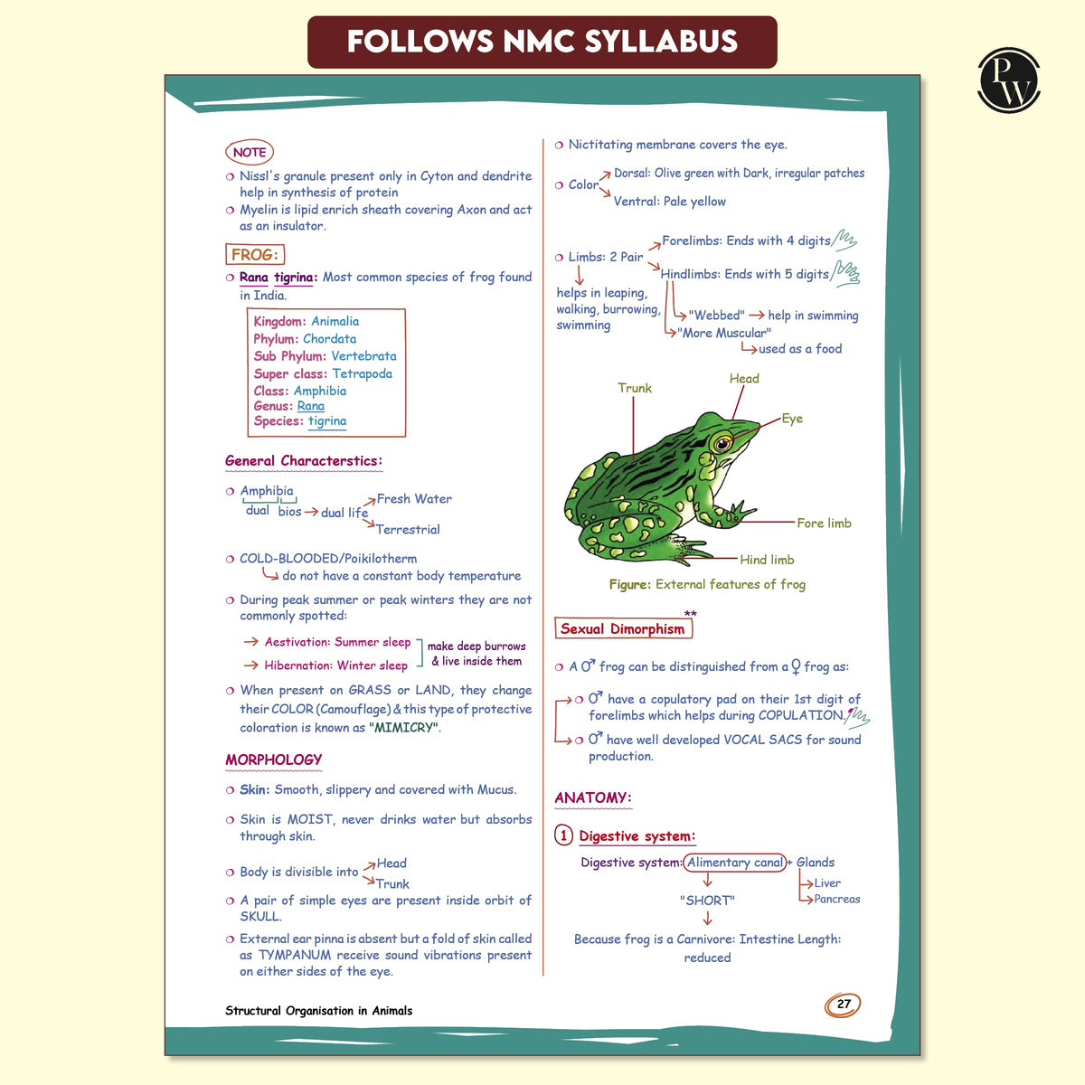 PW Med Easy Zoology 2.0 and Botany Handwritten Notes Combo Set of 2 Books For NEET and Board Exams 2025-26 | Flowcharts, Mnemonics, Diagrams | NCERT Unit Overview