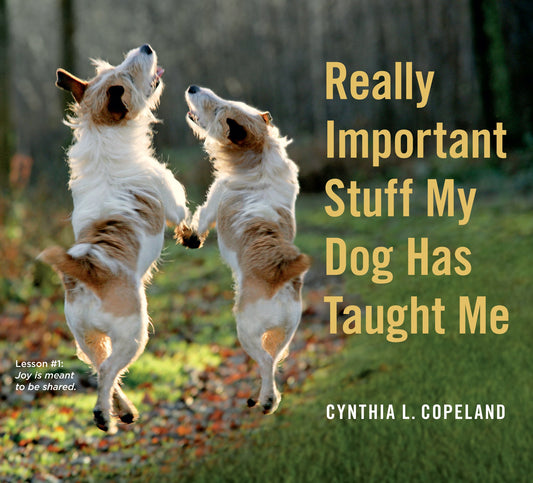 Really Important Stuff My Dog Has Taught Me: Less Bark, More Wag book cover