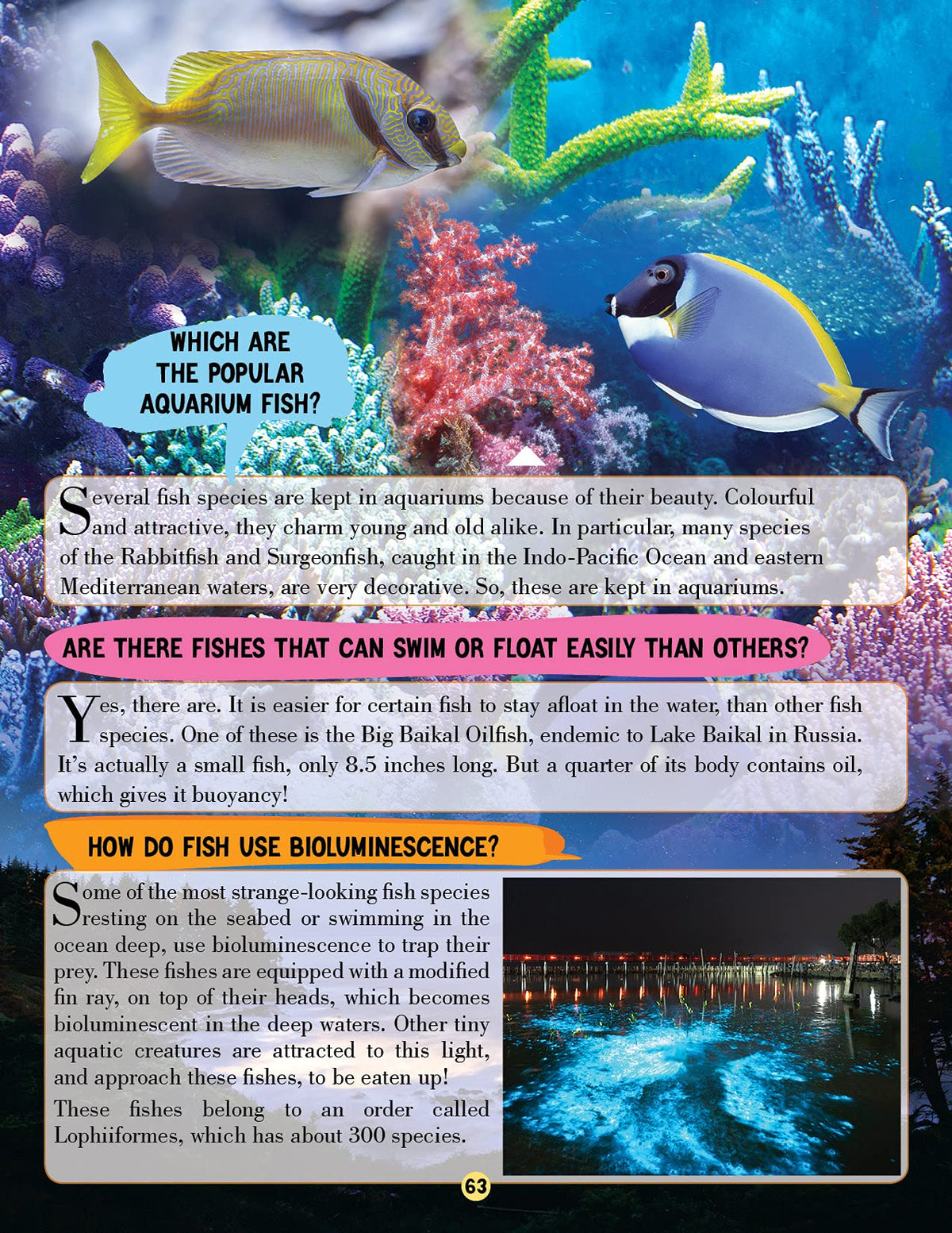 Animal World Children Encyclopedia for Kids Age 5–15 Years | Illustrated Animal Encyclopedia with Fun Facts, Trivia Questions & Answers | Learn About Wildlife, Sea Creatures, Birds, Mammals, Insects, Reptiles & Amazing Animal Kingdom Discoveries