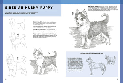 The Art of Basic Drawing