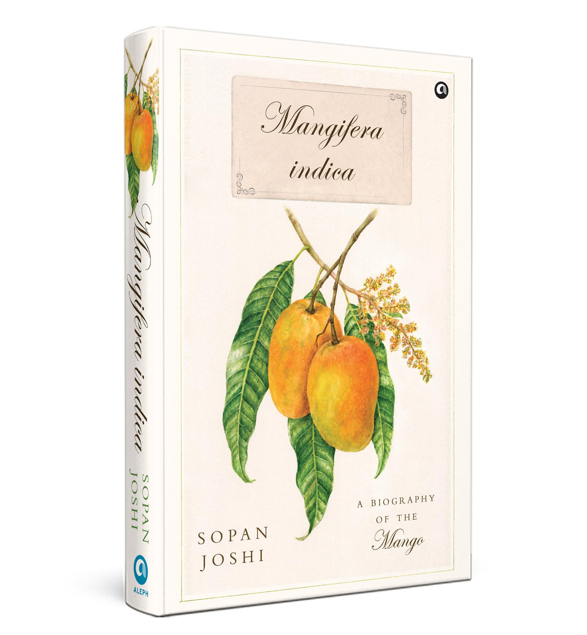 Mangifera indica: A Biography of the Mango