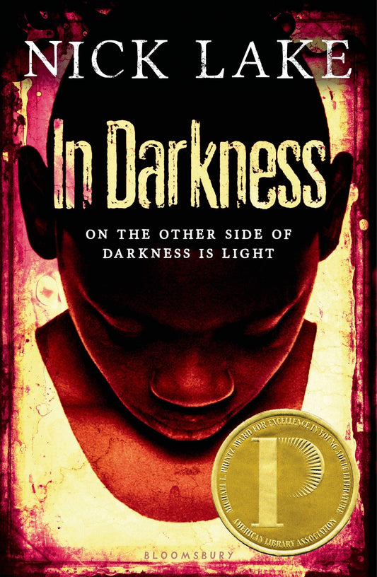 In Darkness book cover
