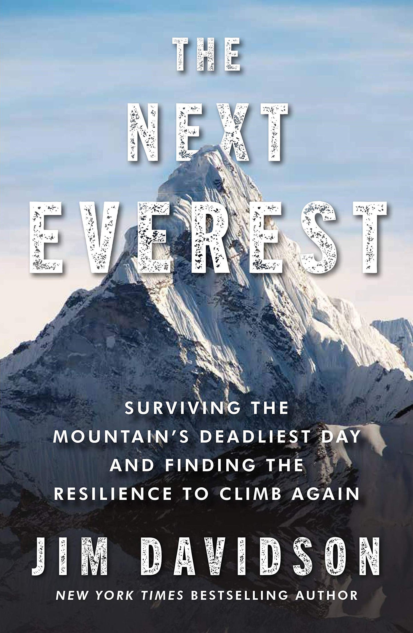 The Next Everest book cover