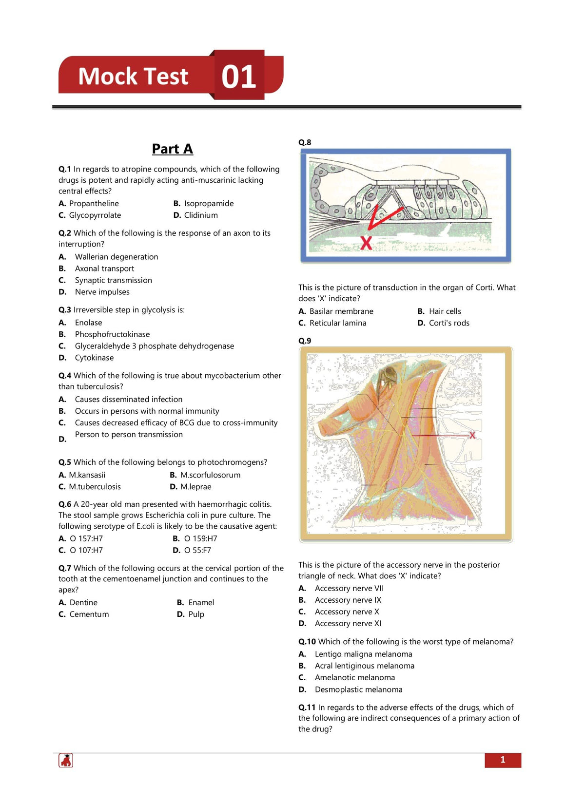 NEET MDS Entrance Exam Preparation Book 2024 (Master of Dental Surgery) - 10 Unsolved Practice Tests [8 Mock Tests and 2 Sectional Tests (Part A and B)] with Free Access To Online Tests