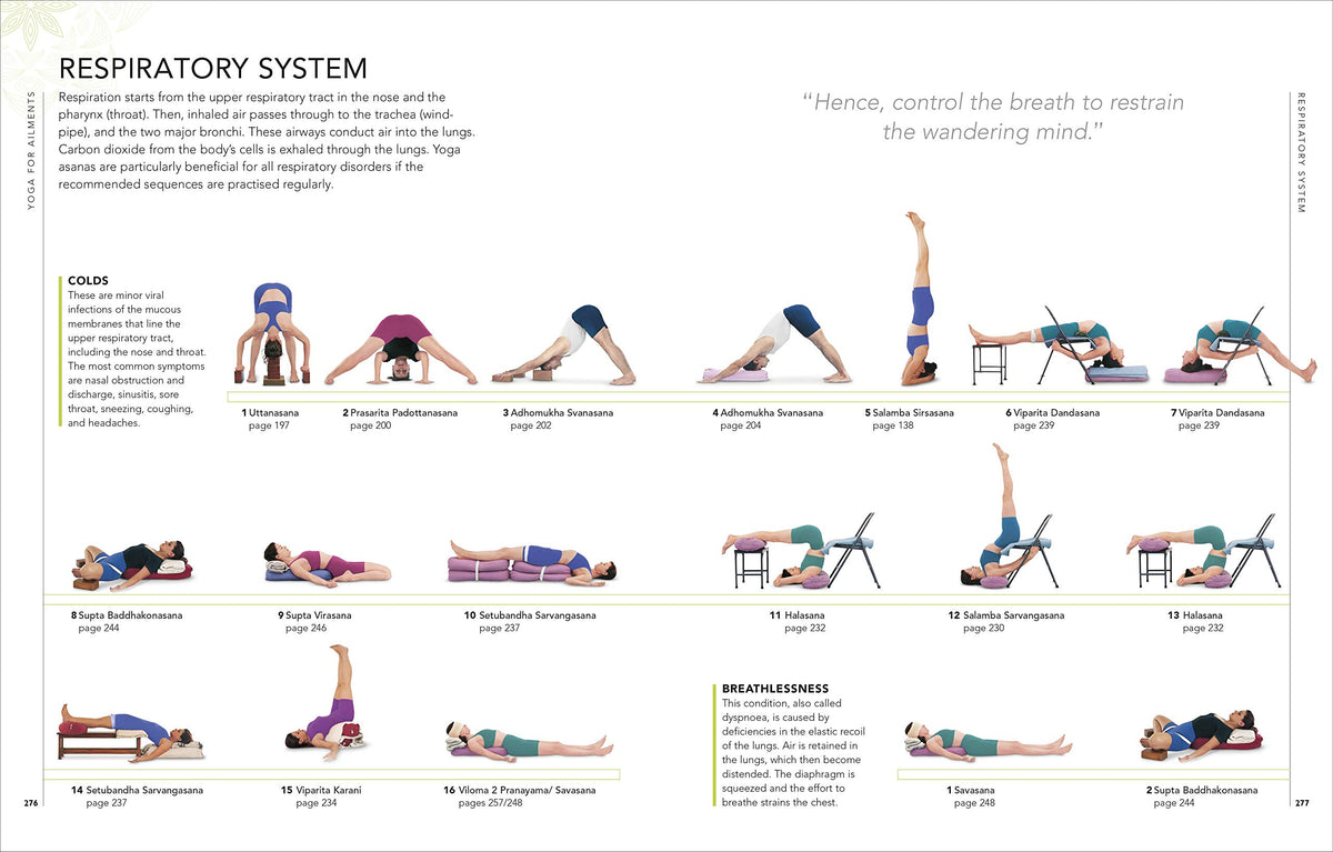 B.K.S. Iyengar Yoga The Path to Holistic Health: The Definitive Step-by-step Guide