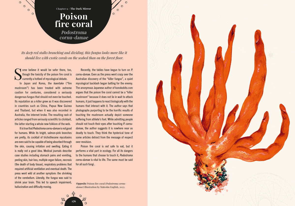 Kew - The Magic of Mushrooms: Fungi in folklore, superstition and traditional medicine (Royal Botanic Gardens, Kew)