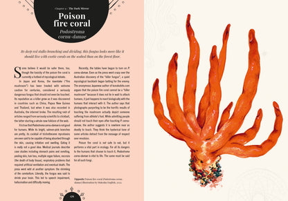 Kew - The Magic of Mushrooms: Fungi in folklore, superstition and traditional medicine (Royal Botanic Gardens, Kew)