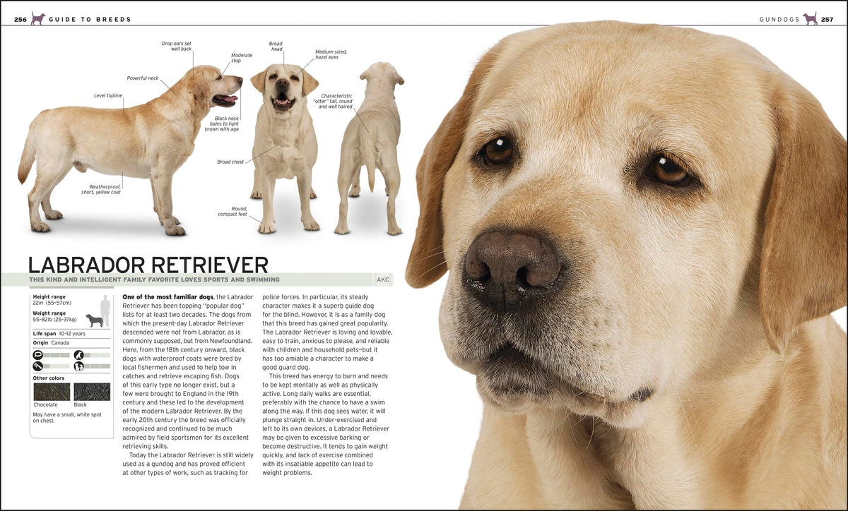 The Complete Dog Breed Book, New Edition