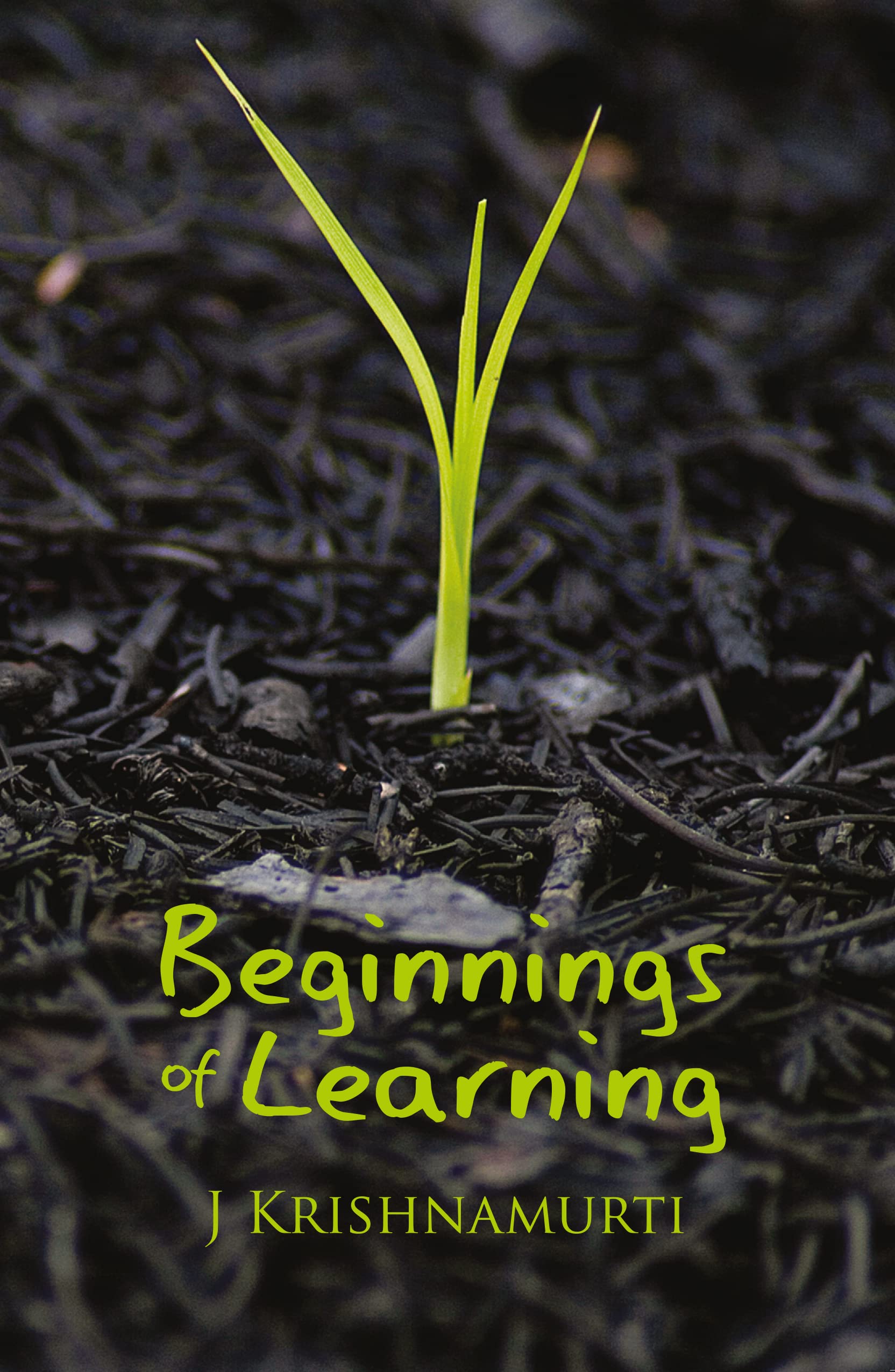 Beginnings of Learning book cover