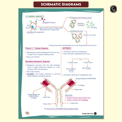 PW Med Easy Zoology 2.0 and Botany Handwritten Notes Combo Set of 2 Books For NEET and Board Exams 2025-26 | Flowcharts, Mnemonics, Diagrams | NCERT Unit Overview