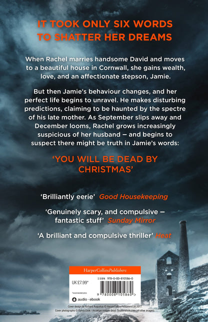 The Fire Child: The gripping psychological thriller from the bestselling author of The Ice Twins
