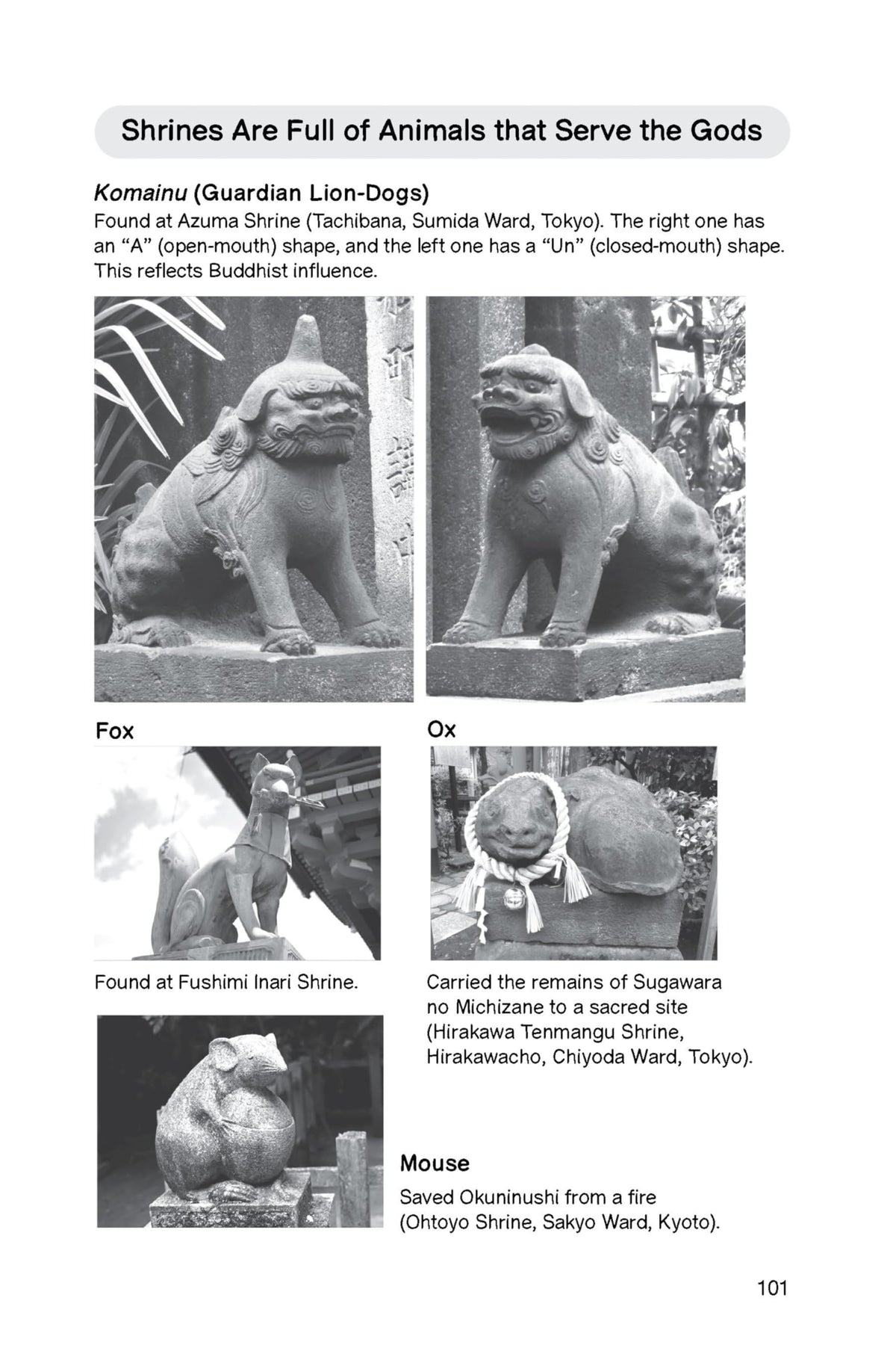The Illustrated Guide to Shinto: Japan's Philosophy of Nature and Man's Place in the Natural World