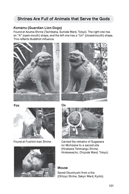 The Illustrated Guide to Shinto: Japan's Philosophy of Nature and Man's Place in the Natural World