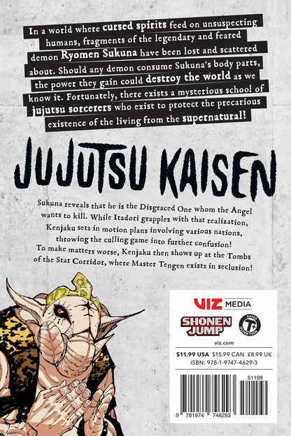 JUJUTSU KAISEN V23: Volume 23