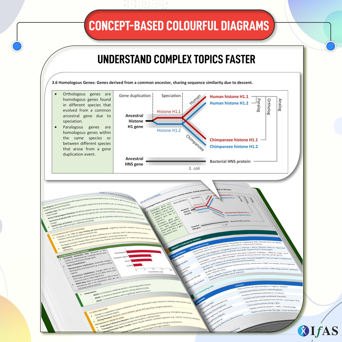 CSIR NET Life Science Books | Exam Mapping Book (Vol 1 & 2) with 5000+ Exam Pointers & Latest Syllabus | Quick Revision Theory for NTA CSIR UGC NET/JRF, GATE & DBT Exams | Colourful Edition | IFAS