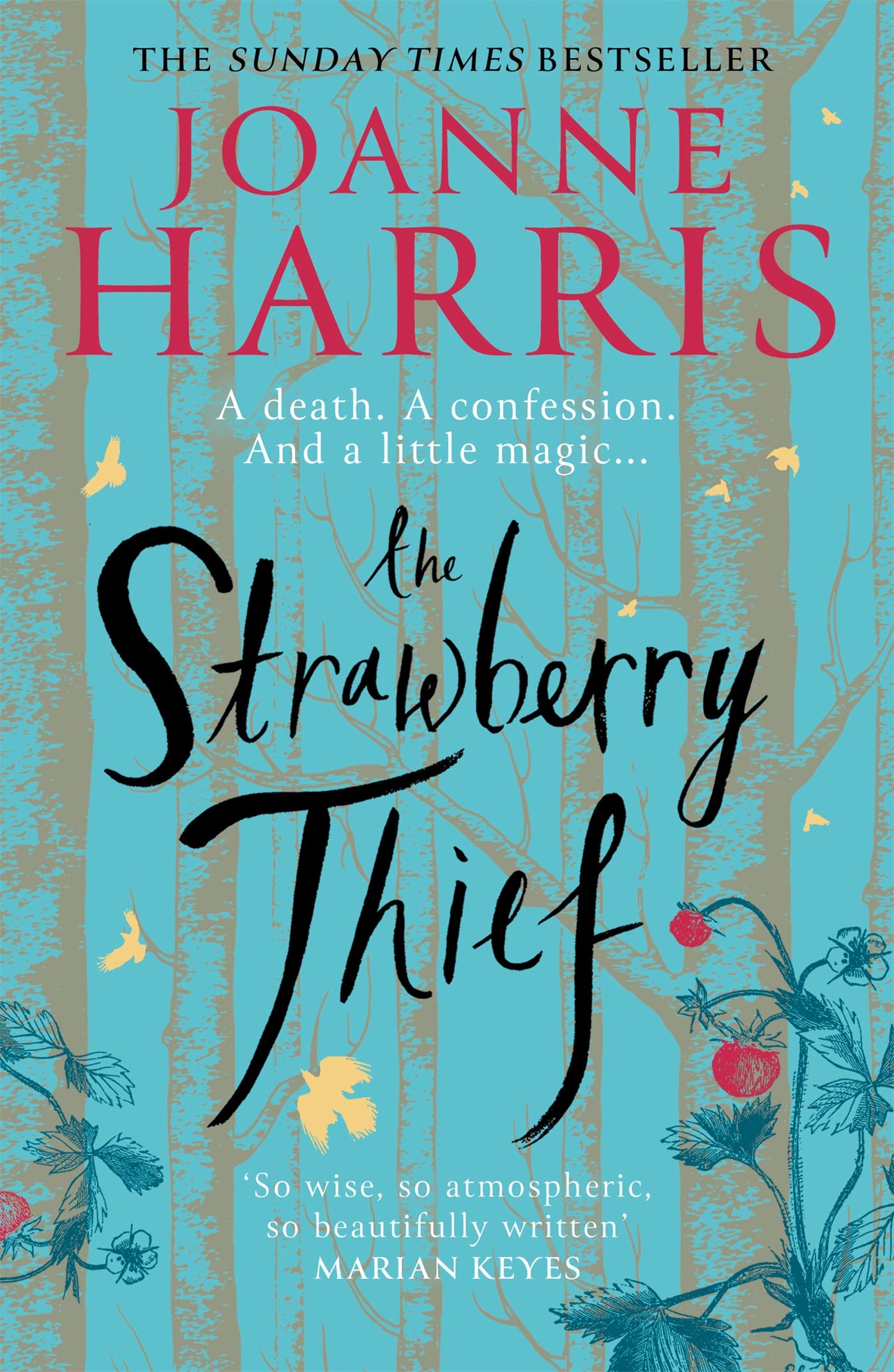 The Strawberry Thief book cover
