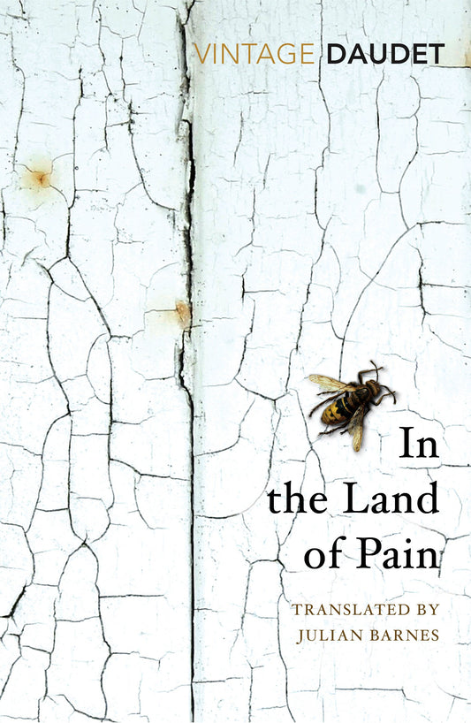 In the Land of Pain book cover