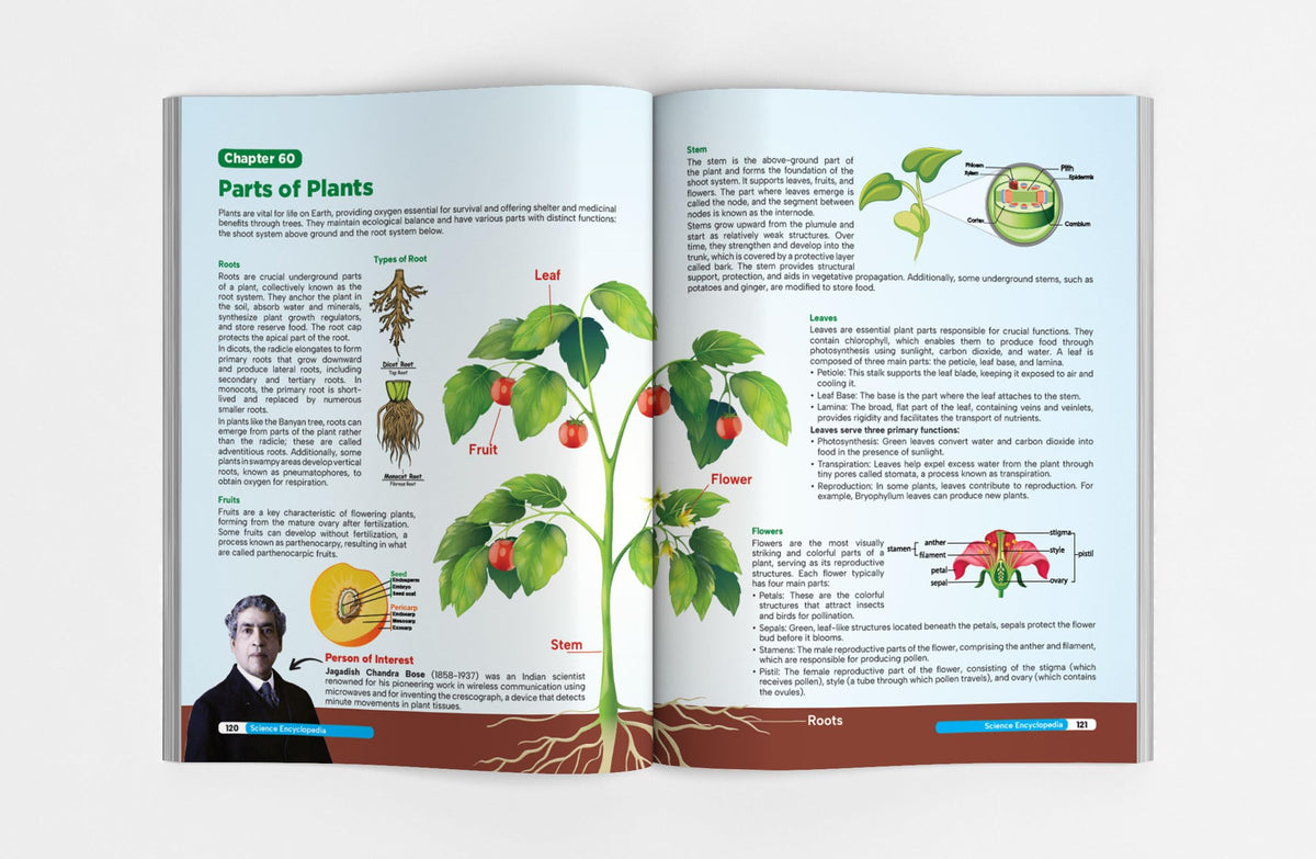 General Science Encyclopaedia for Competitive Exams | 4 colour creative GK Book powered with Pictorial & Infographic approach | Must for NDA/ UPSC/ State PSC/ RRB/ SSC/ Defence Exams