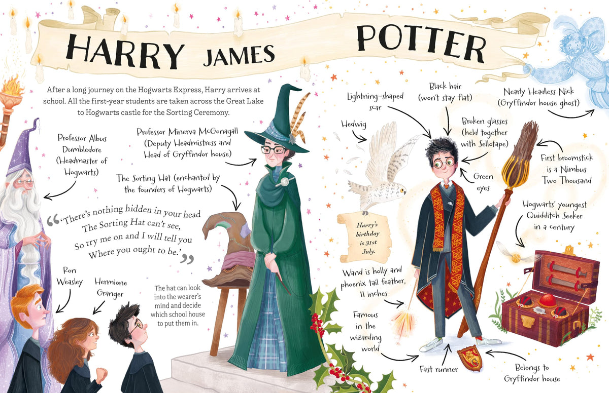 Harry Potter: The must-have Christmas stocking filler for Potter fans! (Pocket Potters – Little Guides to the HARRY POTTER Stories)