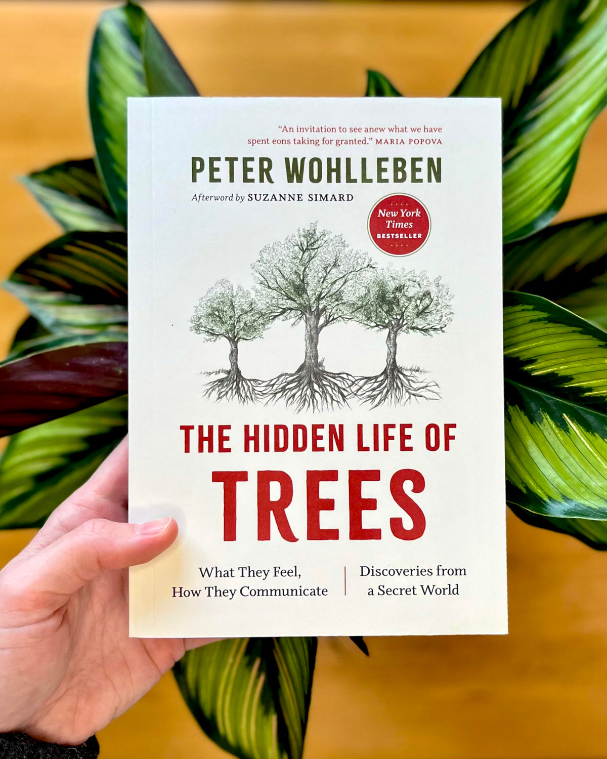 The Hidden Life of Trees: What They Feel, How They Communicate-- Discoveries from a Secret World: 1 (The Mysteries of Nature, 1)