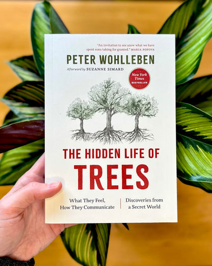 The Hidden Life of Trees: What They Feel, How They Communicate-- Discoveries from a Secret World: 1 (The Mysteries of Nature, 1)
