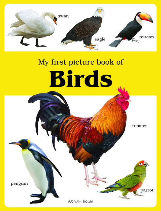 My first picture book of Birds: Picture Books for Children book cover