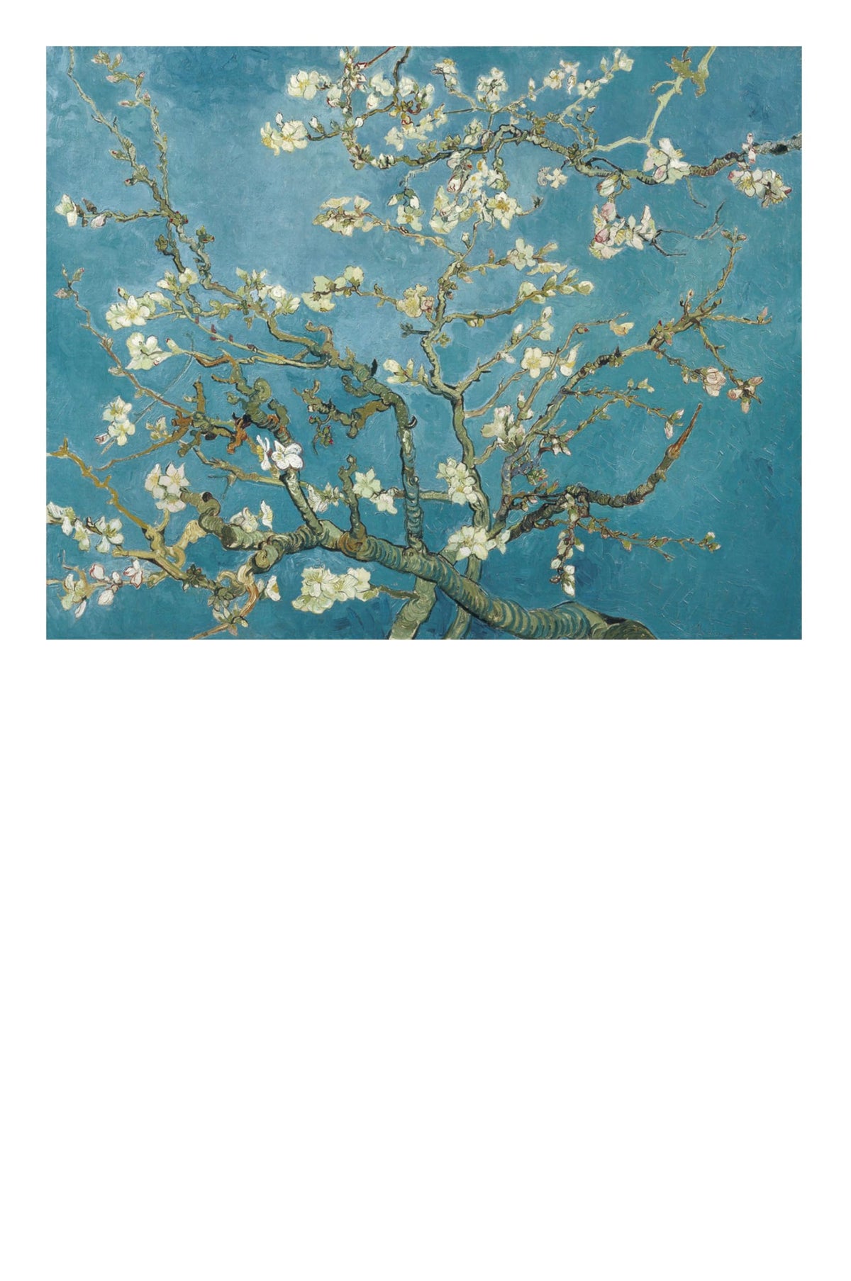 Vincent van Gogh: 50 Masterpieces Explored (The Masters Art Decks)