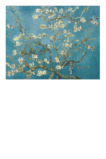 Vincent van Gogh: 50 Masterpieces Explored (The Masters Art Decks)