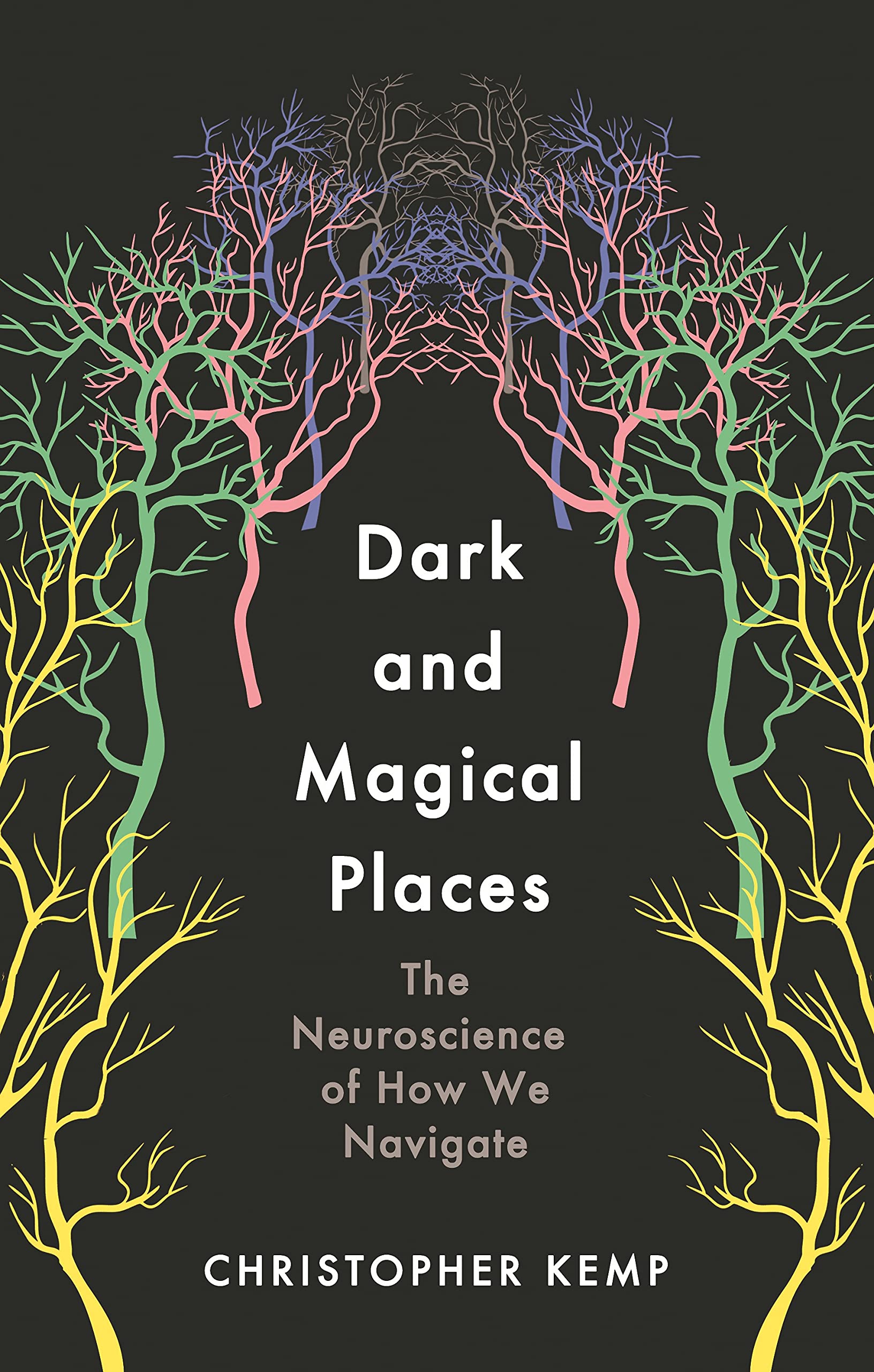 DARK AND MAGICAL PLACES book cover