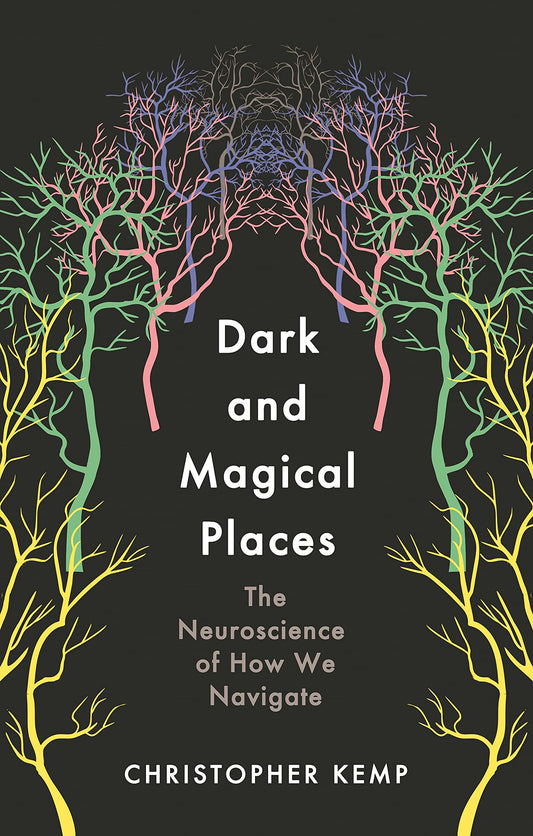 DARK AND MAGICAL PLACES book cover