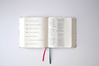 NIV BIBLE FOR JOURNALLING AND VERSE-MAPPING: PINK