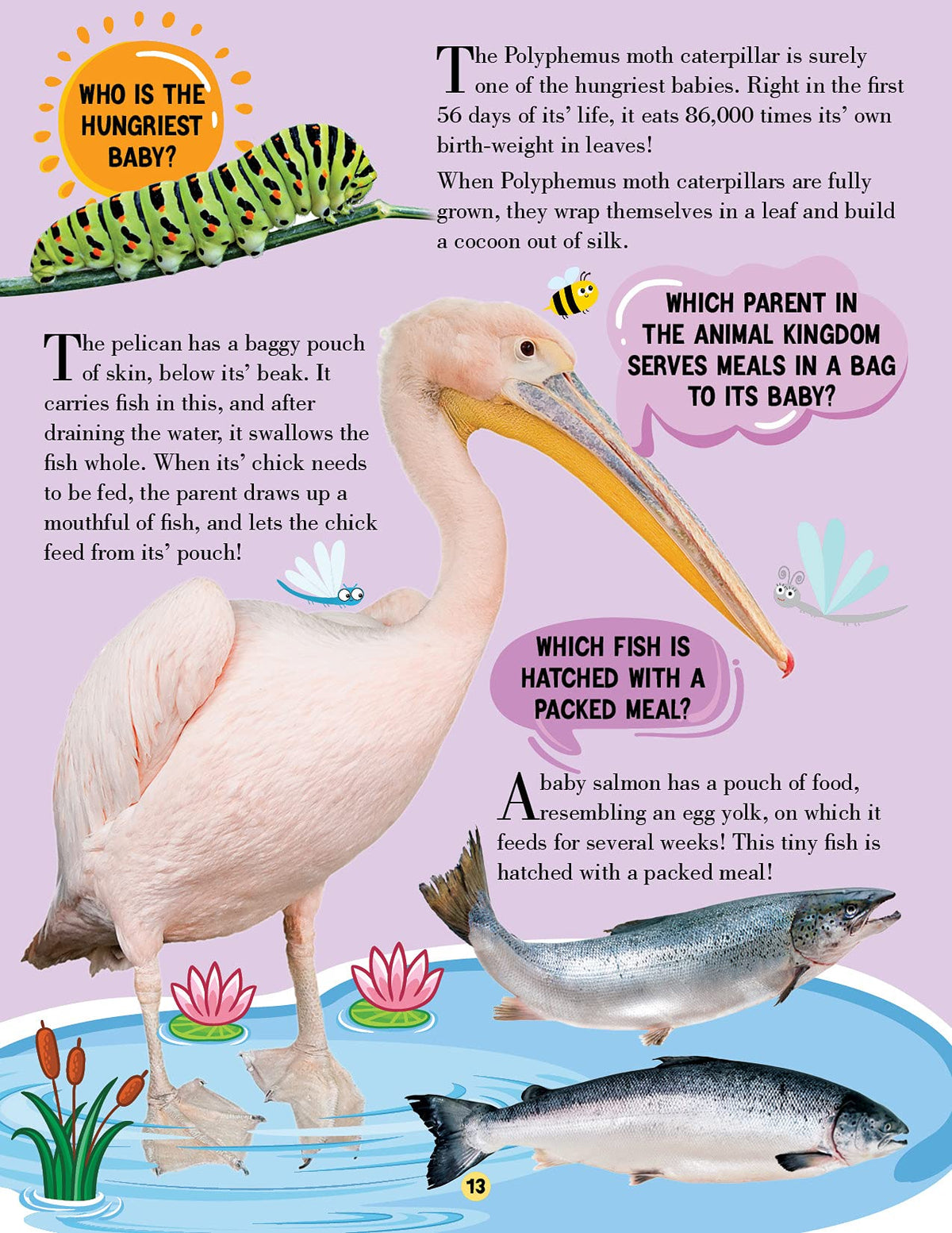 Animal World Children Encyclopedia for Kids Age 5–15 Years | Illustrated Animal Encyclopedia with Fun Facts, Trivia Questions & Answers | Learn About Wildlife, Sea Creatures, Birds, Mammals, Insects, Reptiles & Amazing Animal Kingdom Discoveries