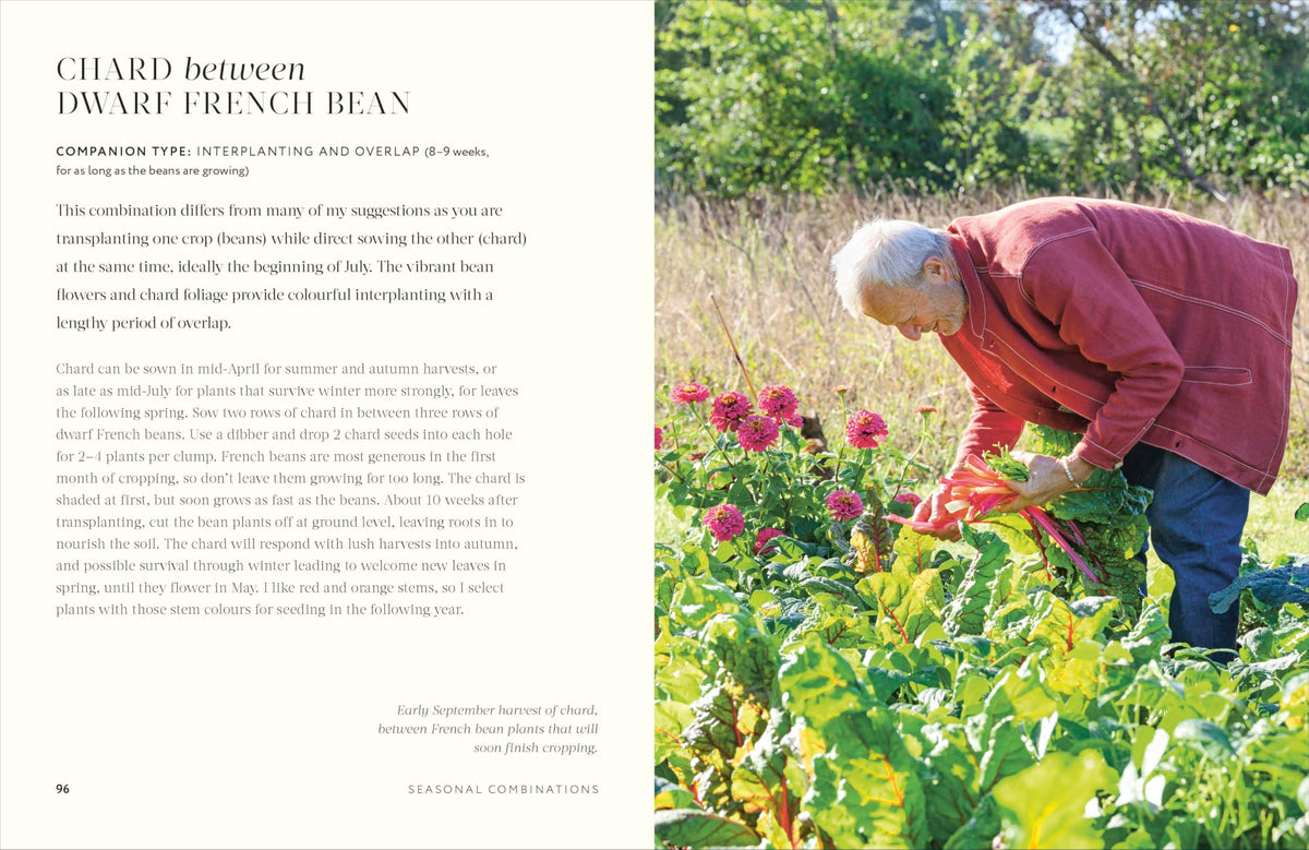 Grow Together: 50 Planting Partnerships to Boost Your Harvests