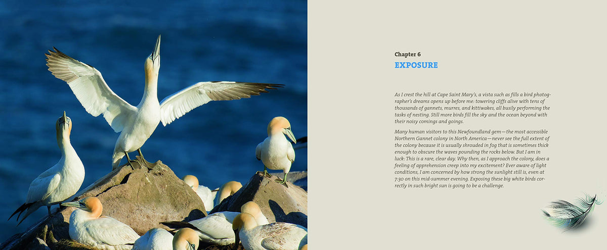 Mastering Bird Photography: The Art, Craft, and Technique of Photographing Birds and Their Behavior