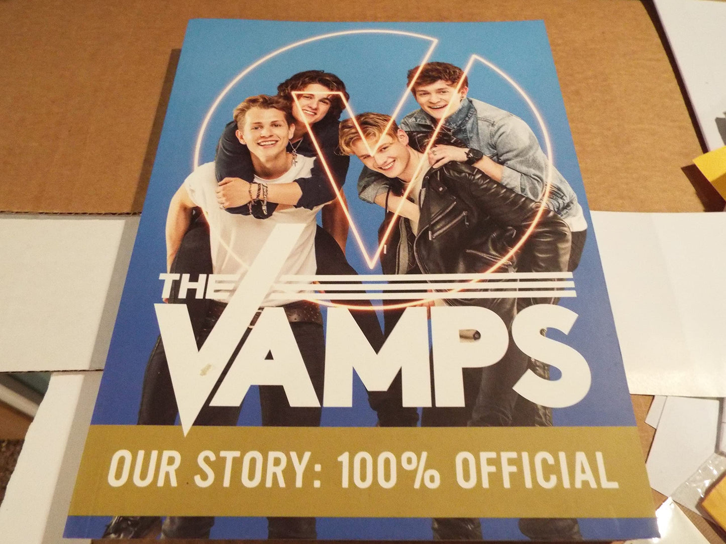 The Vamps: Official Book book cover