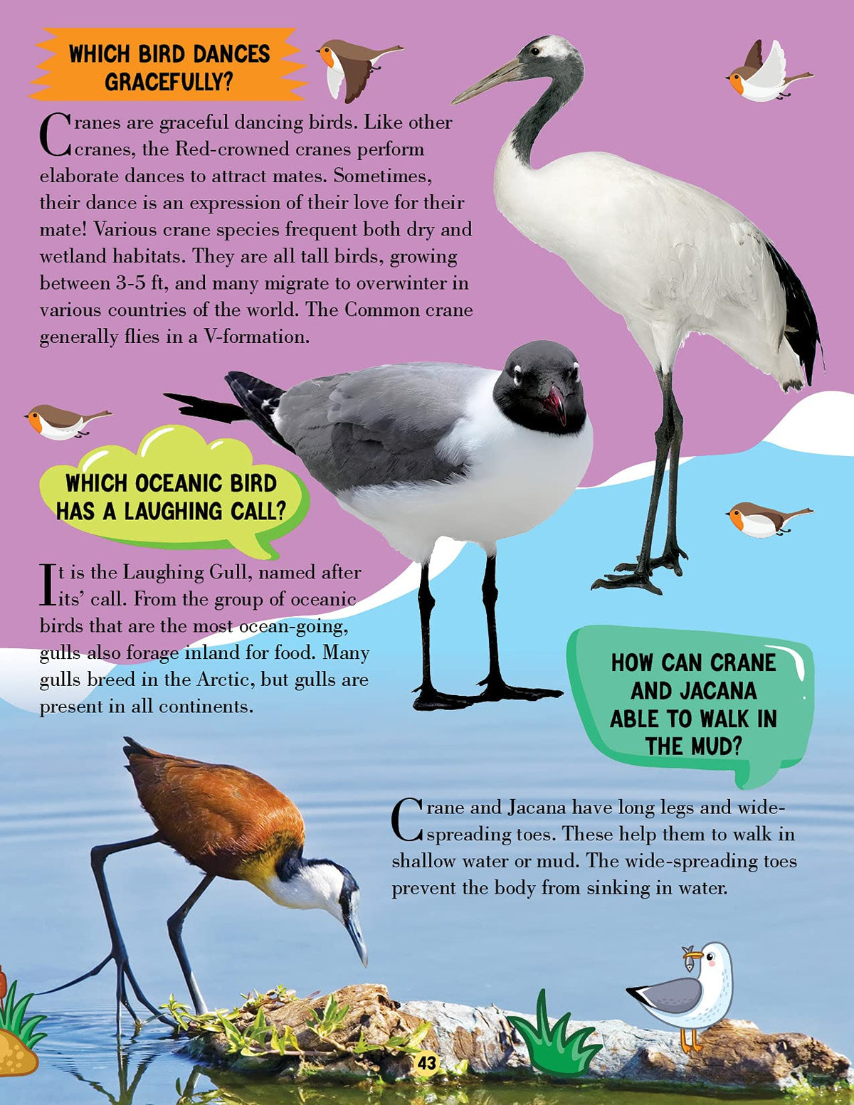 Animal World Children Encyclopedia for Kids Age 5–15 Years | Illustrated Animal Encyclopedia with Fun Facts, Trivia Questions & Answers | Learn About Wildlife, Sea Creatures, Birds, Mammals, Insects, Reptiles & Amazing Animal Kingdom Discoveries