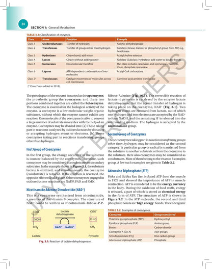 Textbook of Biochemistry for Dental Students, 5/E for BDS Students | Dental-Focused Biochemistry with 400+ Figures, 150 Tables, Oral Health Correlations and MCQ Question Bank: 1