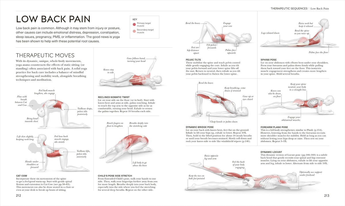 Science of Yoga: Understand the Anatomy and Physiology to Perfect Your Practice