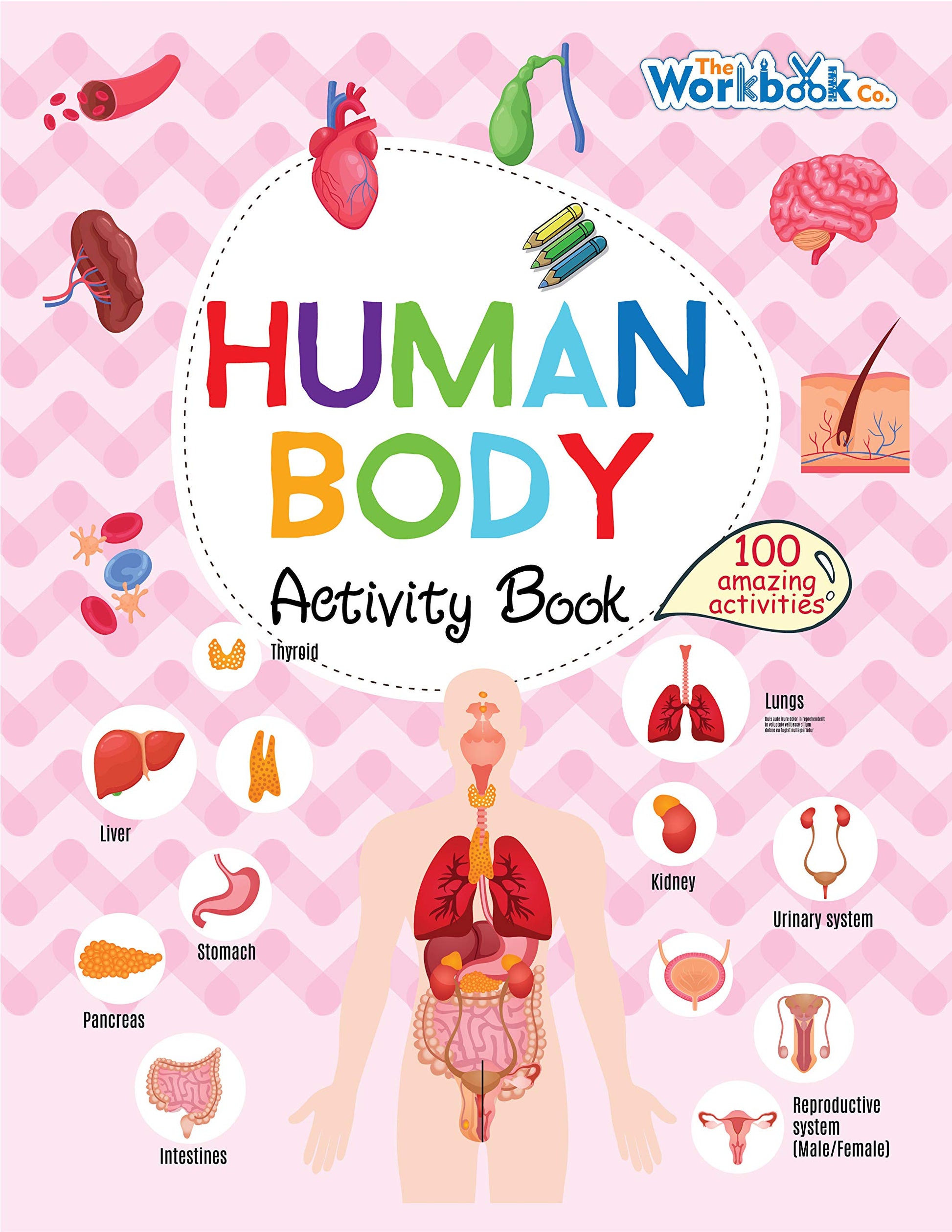 Human Body Activity Book book cover