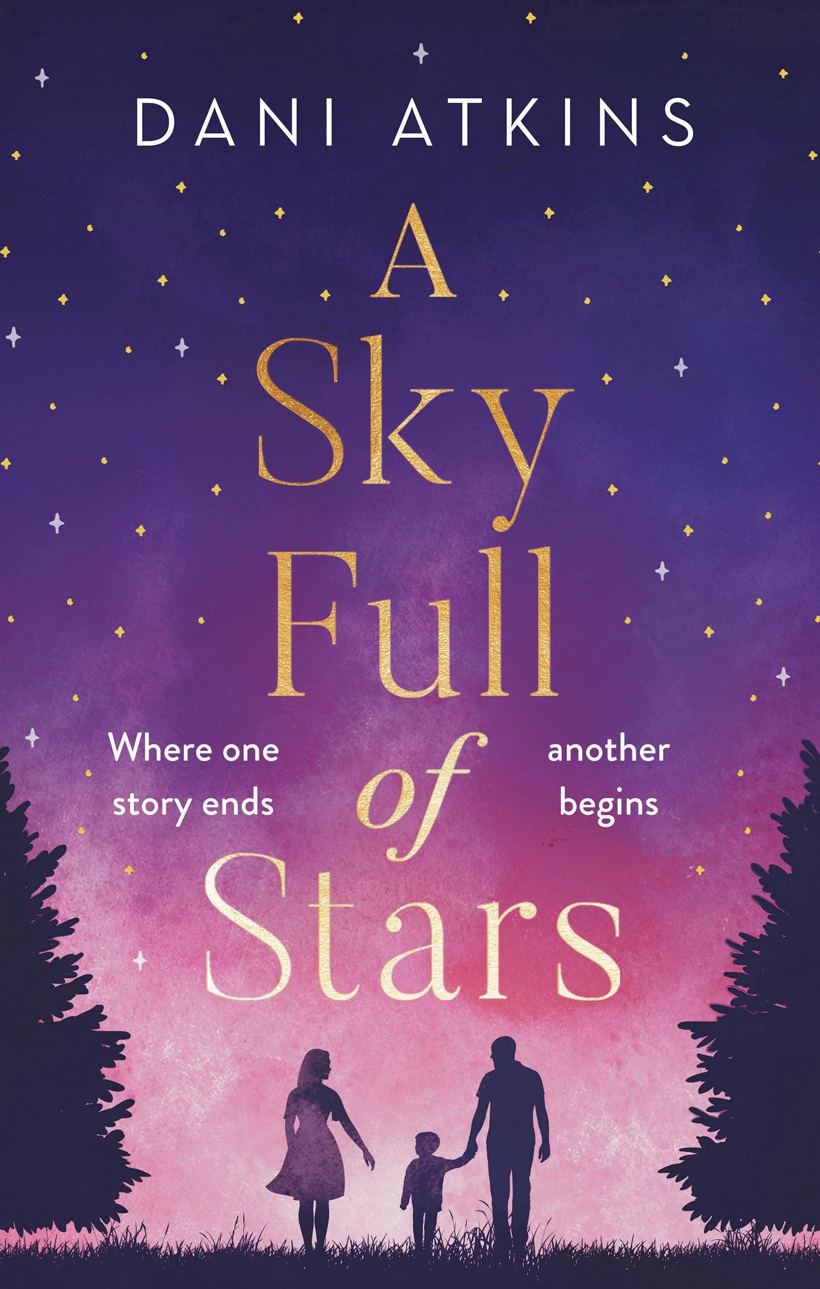 A Sky Full of Stars book cover