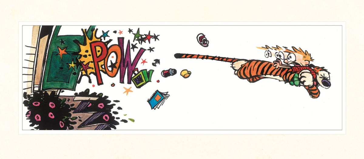 Complete Calvin And Hobbes Paperback Box Set