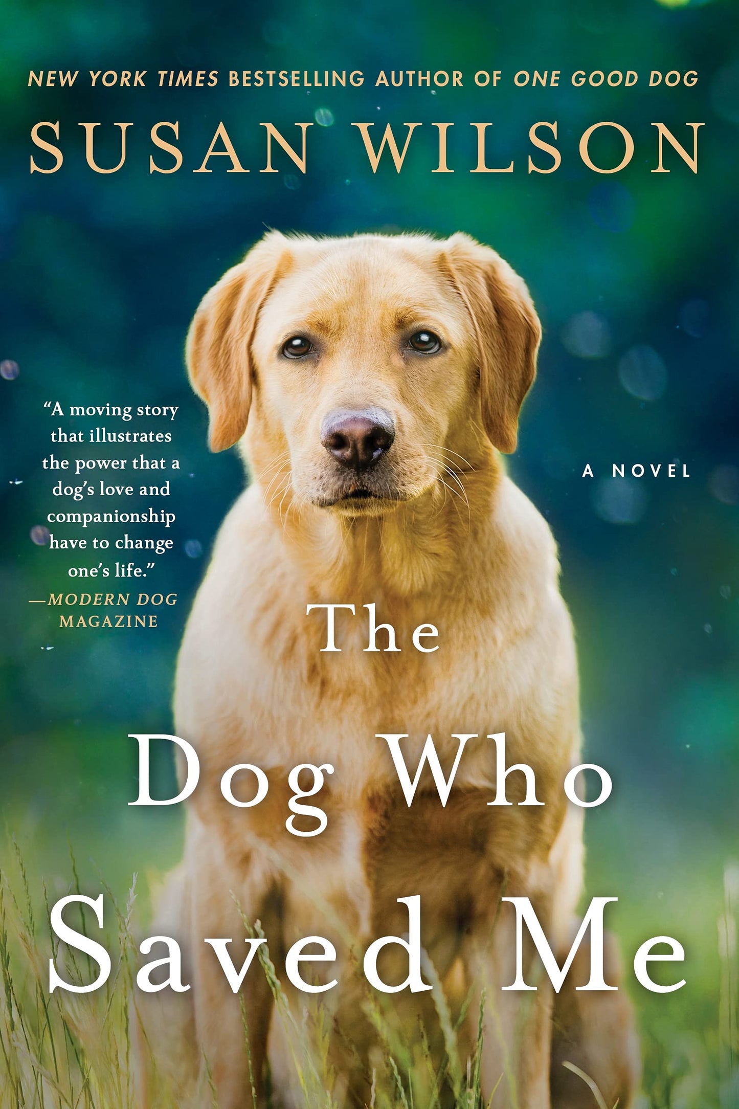 The Dog Who Saved Me: A Novel book cover