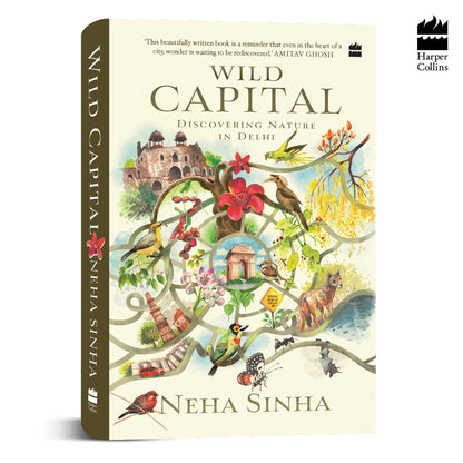 Wild Capital: Discovering Nature In Delhi