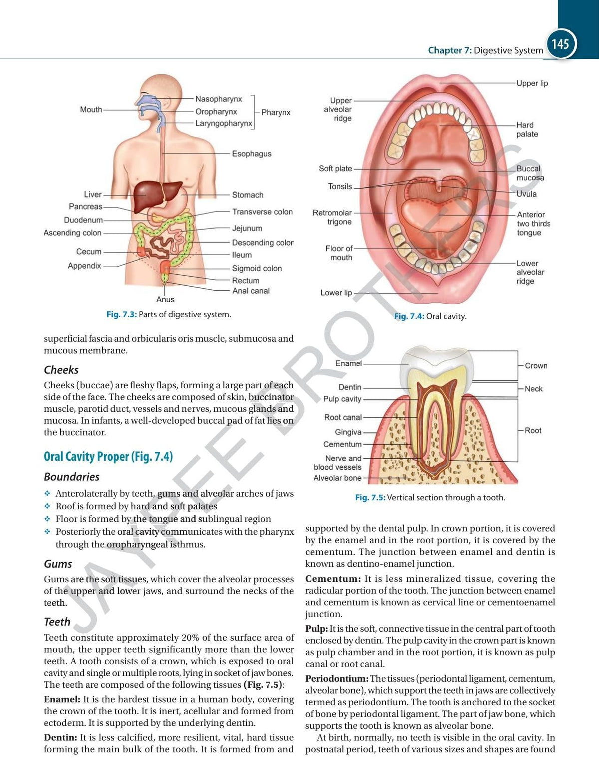 Textbook of Anatomy & Physiology for GNM Students, 3/E | As per INC Syllabus | Diagrams, Dissection Photographs, Memory Joggers and Normal Values