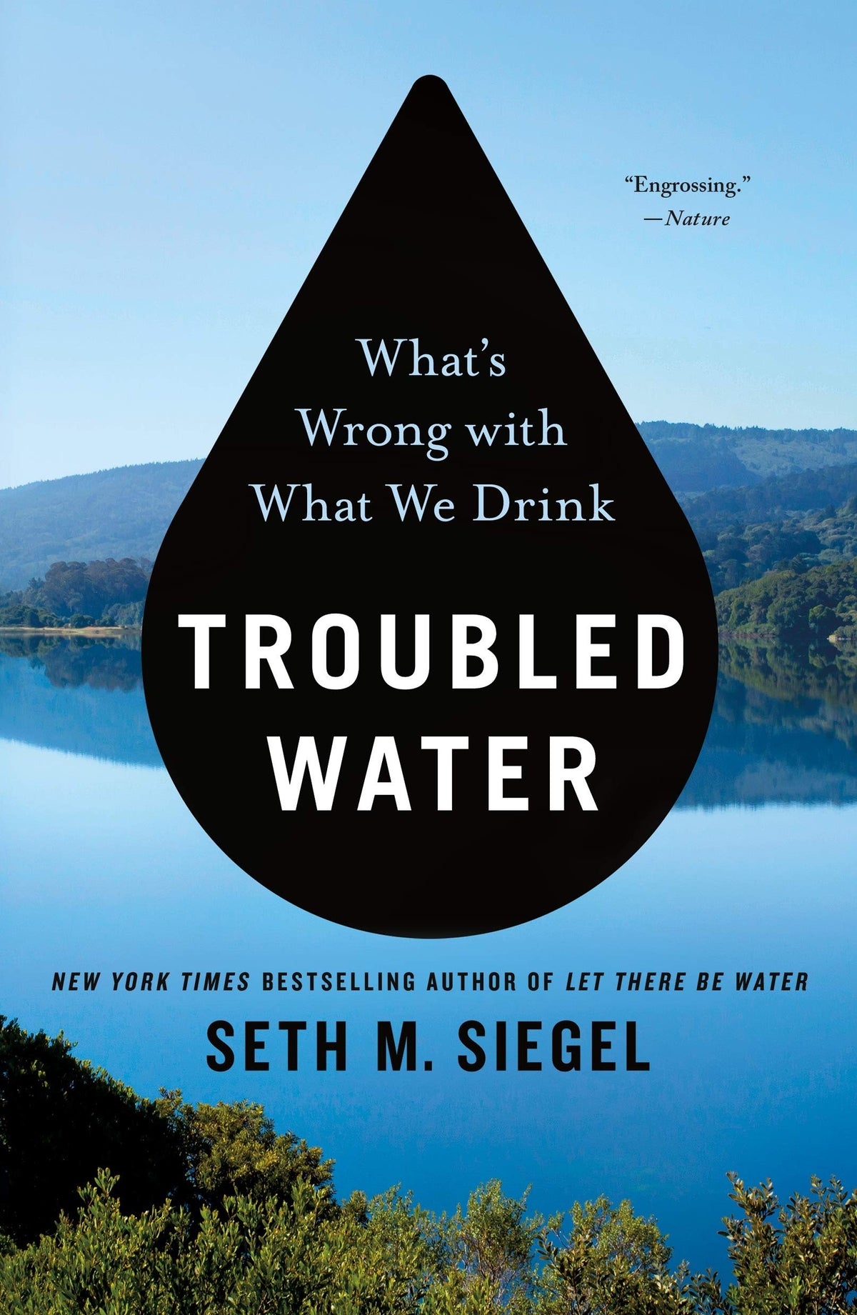 Troubled Water: Whats Wrong with What We Drink book cover