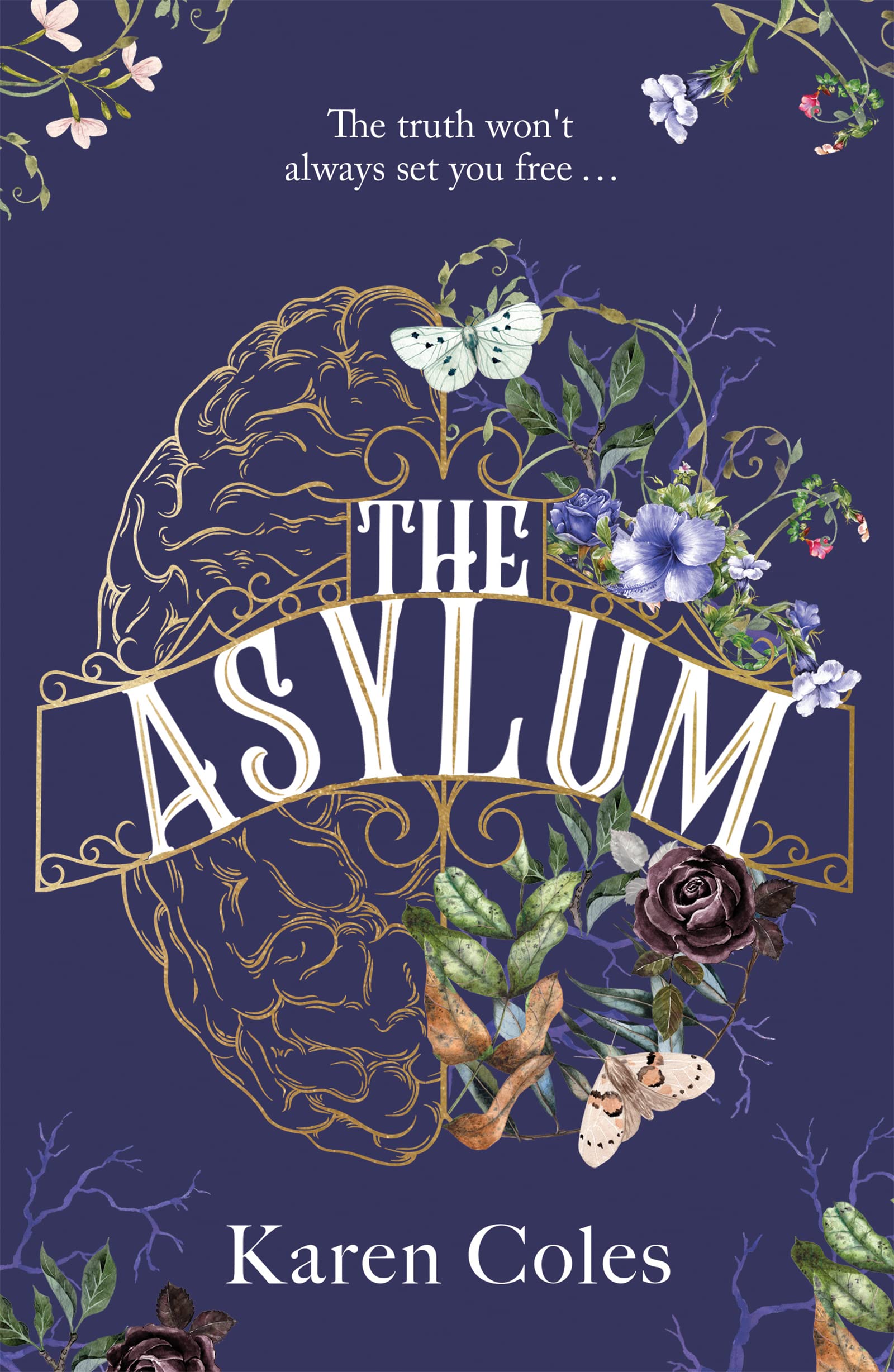 Asylum, The book cover